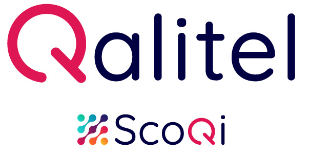 Lire la suite à propos de l’article Clients ScoQi – QALITEL – Selon secteurs d’activité